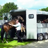 By Boeckmann_horseexperts (Boeckmann_horseexperts) [CC BY-SA 3.0 (http://creativecommons.org/licenses/by-sa/3.0)], via Wikimedia Commons